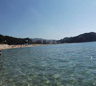 Plaża Fenals