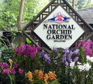 National Orchid Garden