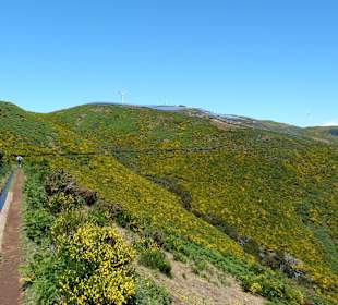 Hochebene Paul da Serra, Levada do Bica da Cana
