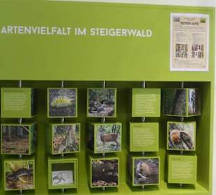 Handthal: im Steigerwald-Zentrum
