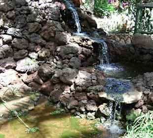 Oasis Park, La Lajita