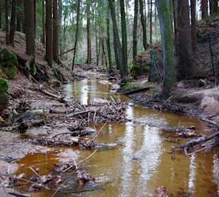 Wasserlauf