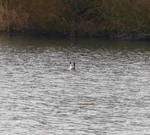 Seeimpressionen