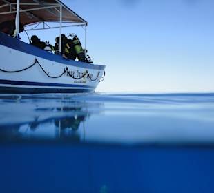 Daily: La nostra barca/Daily: our Boat