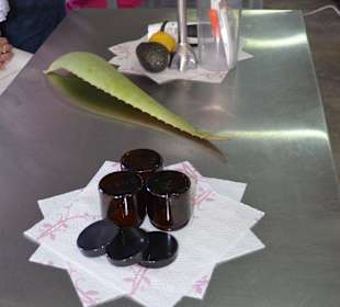 Landausflug Aloe Vera Workshop Fuerteventura