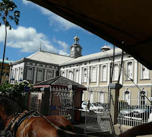 Stadtrundfahrt mit dem Pferdewagen