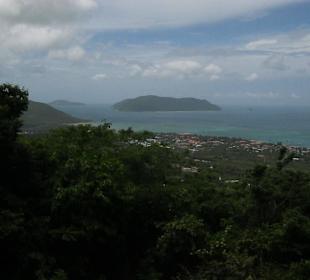  View from Top