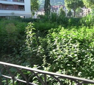 Seegarten-Anlage / Kurfürsten-Anlage