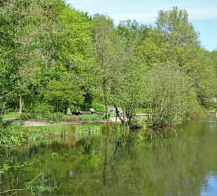 Eindrücke aus dem Walter-Peters-Park