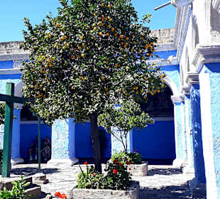 Santa Catalina Kloster