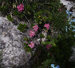 Mindelheimer Klettersteig