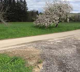 Naturerlebnisweg des NABU-Metzingen