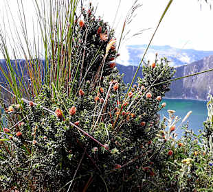 Kratersee Quilotoa