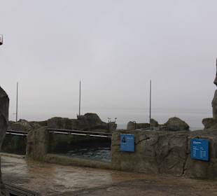 Angrenzent an die Nordsee/Wesermündung