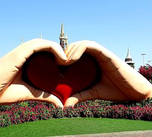 Miracle Garden
