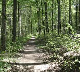 Wanderweg Hochgehwachsen