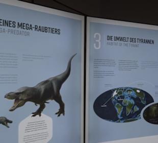 Dinosaurier Museum Altmühltal