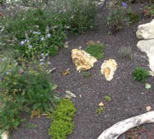 Blühendes Neresheim