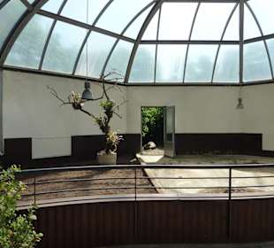 Madagassische Strahlenschildkröte - Anlage