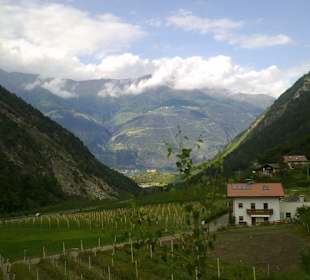 Blick vom Martelltal Richtung Goldrain