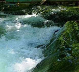 Düden der Wasserfall/Park