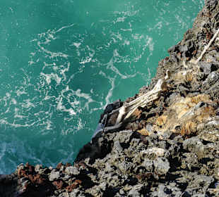 Wer will kann springen und wieder hochklettern