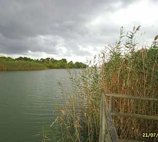 Spaziergang durch S´Albufeira