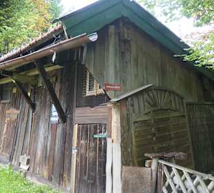 Bei der Moor-Wanderung (Inzeller Filzen)