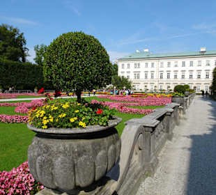 Impressionen vom Rundgang durch den Mirabellgarten