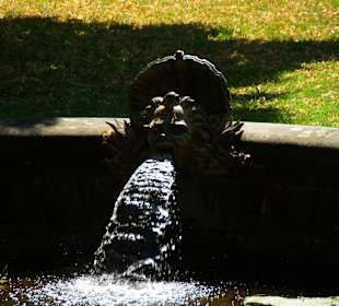 Brunnentechnik vom feinsten