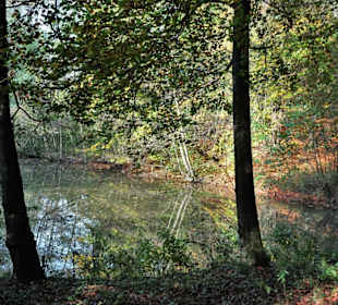 Impressionen aus dem Kurpark Bad Iburg