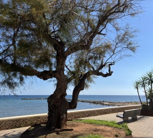 Strandpromenade Cala Millor