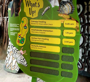 Singapur Zoo