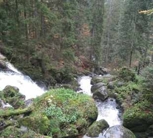 Triberger Wasserfälle