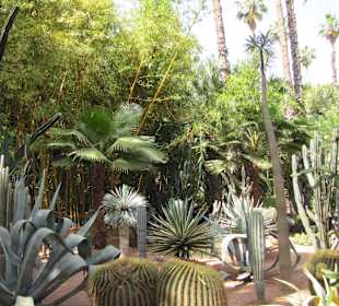 Jardin Majorelle