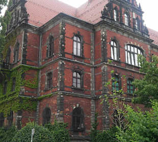 Stare Miasto Wrocław