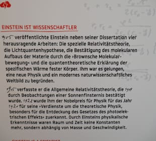 Einstein ist nun Wissenschaftler