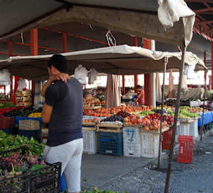 Bazarausflug