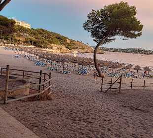 Strand Paguera/Peguera