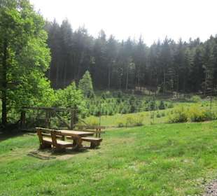 Auf dem Weg zum Hilschweiher