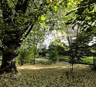 Impressionen aus dem herbstlichen Schlosspark