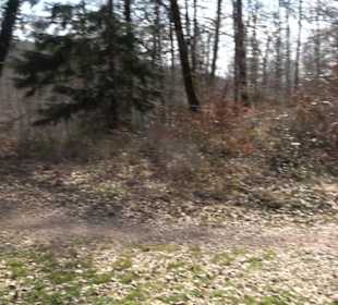 Geologischer Lehrpfad Kirnbachtal