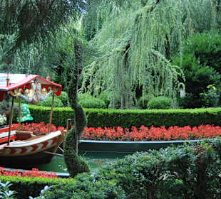 На территории парка