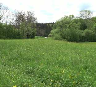 Wandertour Feuchtgebiet Schönbuch