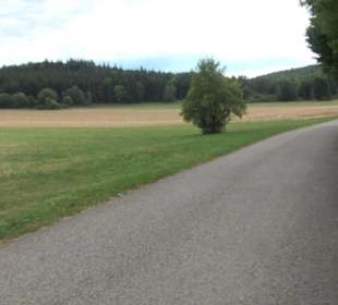 Wildgehege Holzelfingen