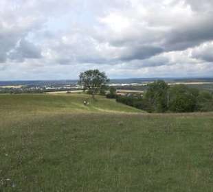 Naturschutzgebiet Zollerhalde Zimmern