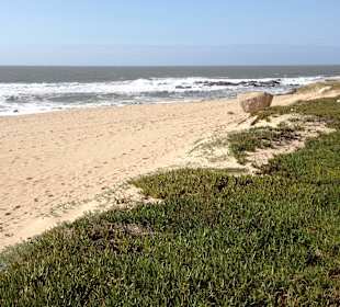 Linke Seite vom Fluss