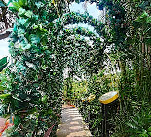 Mount Faber Peak