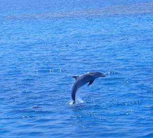 Ausflugsbegleiter bei Bakadi-Tours