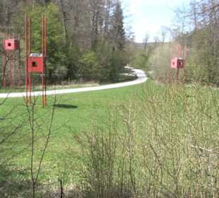 Sculptoura Woodwatcher